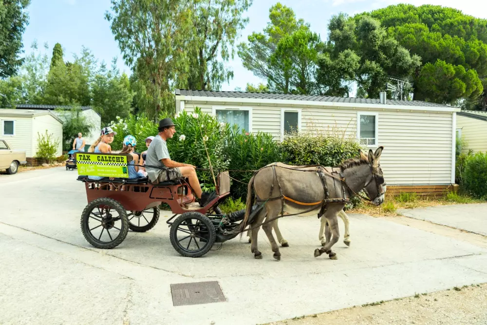 Camping maeva Escapades Parc Valrose 4 Sterren★★★★