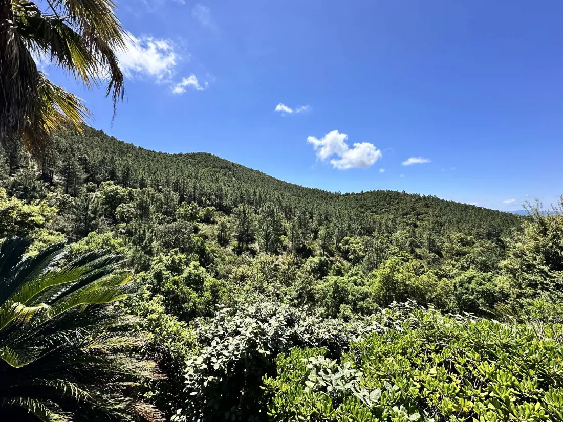 Residence Villa Blanche-la Londe Les Maures