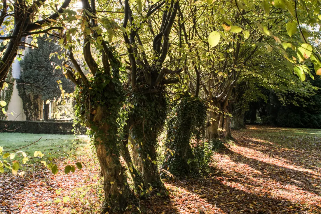 Gîte de France Gîtes de france® - a bájosok árnyéka 3 fül