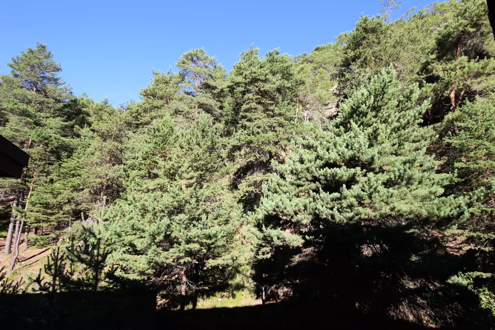 Rezydencja Les Avenieres