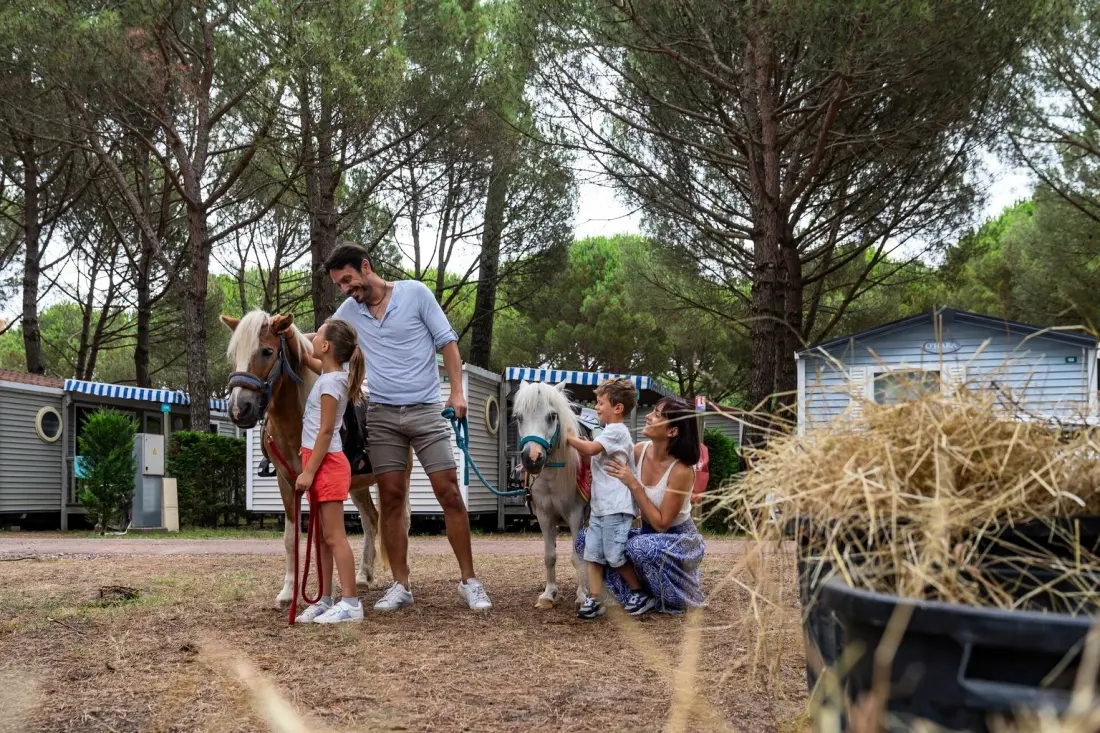 Camping Sandaya l'Estanquet4 Sterne★★★★