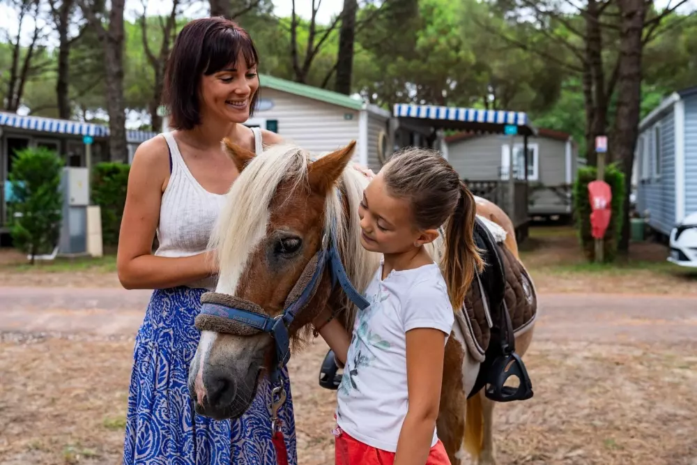 Camping Sandaya l'Estanquet5 Stars★★★★★