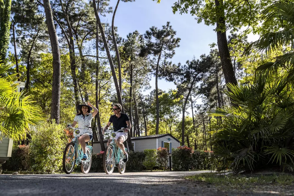 Camping Sandaya l'Orée du Bois5 Sterren★★★★★