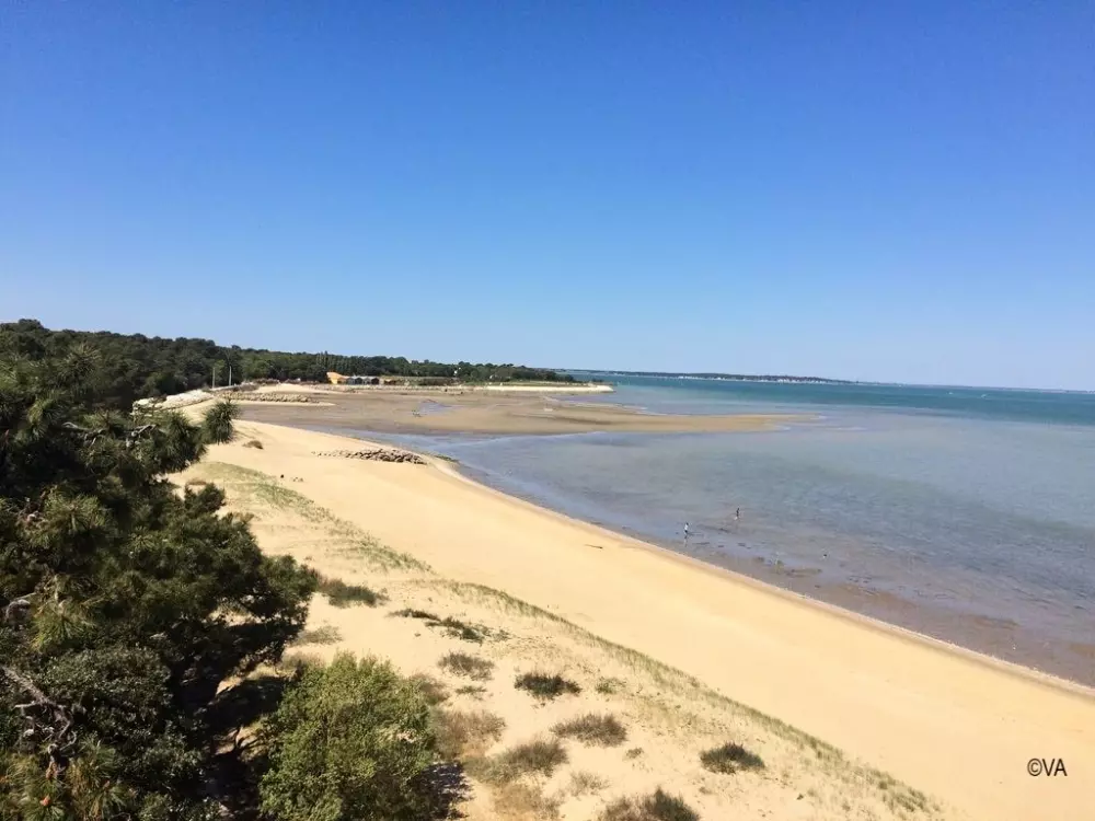 Camping Au Joyeux Faune - Ocean Mobilhomes