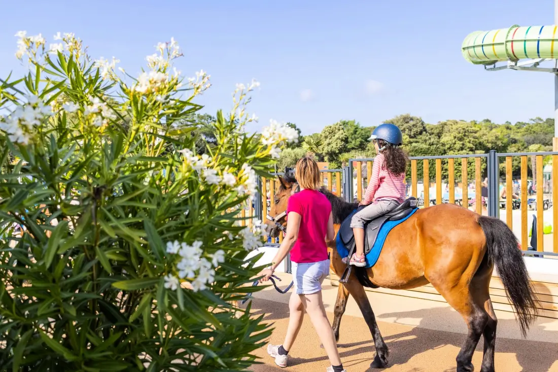 Camping Club La Côte Sauvage 5 Gwiazdy★★★★★ 5 Gwiazdy★★★★★ 5 Gwiazdy★★★★★ 5 Gwiazdy★★★★★ 5 Gwiazdy★★★★★ - MS Vacances