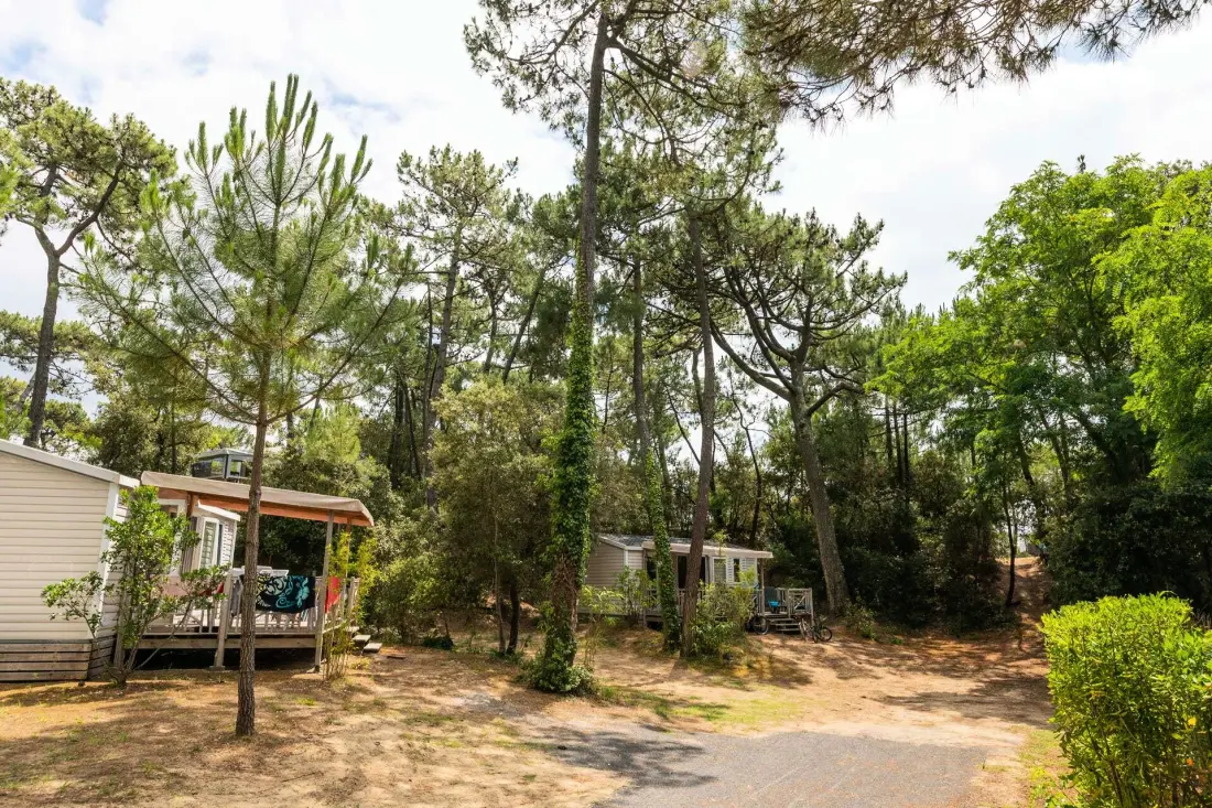 Camping Club La Côte Sauvage 5 Gwiazdy★★★★★ 5 Gwiazdy★★★★★ 5 Gwiazdy★★★★★ 5 Gwiazdy★★★★★ 5 Gwiazdy★★★★★ - MS Vacances