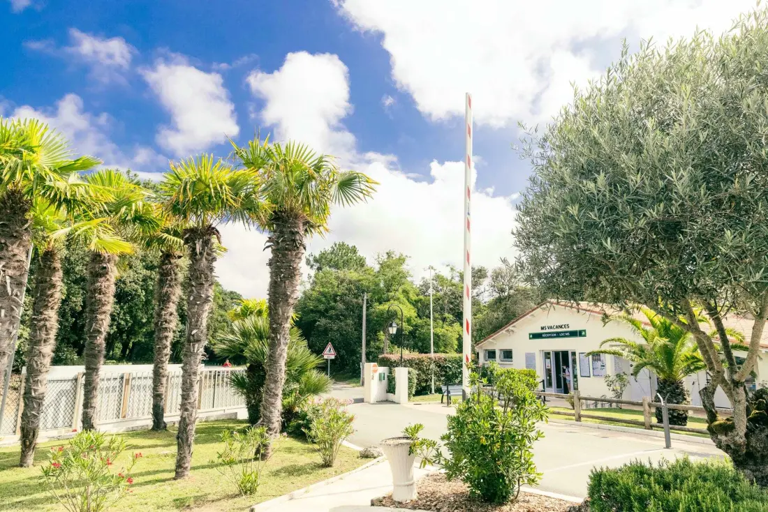 Camping Club La Côte Sauvage 5 Gwiazdy★★★★★ 5 Gwiazdy★★★★★ 5 Gwiazdy★★★★★ 5 Gwiazdy★★★★★ 5 Gwiazdy★★★★★ - MS Vacances