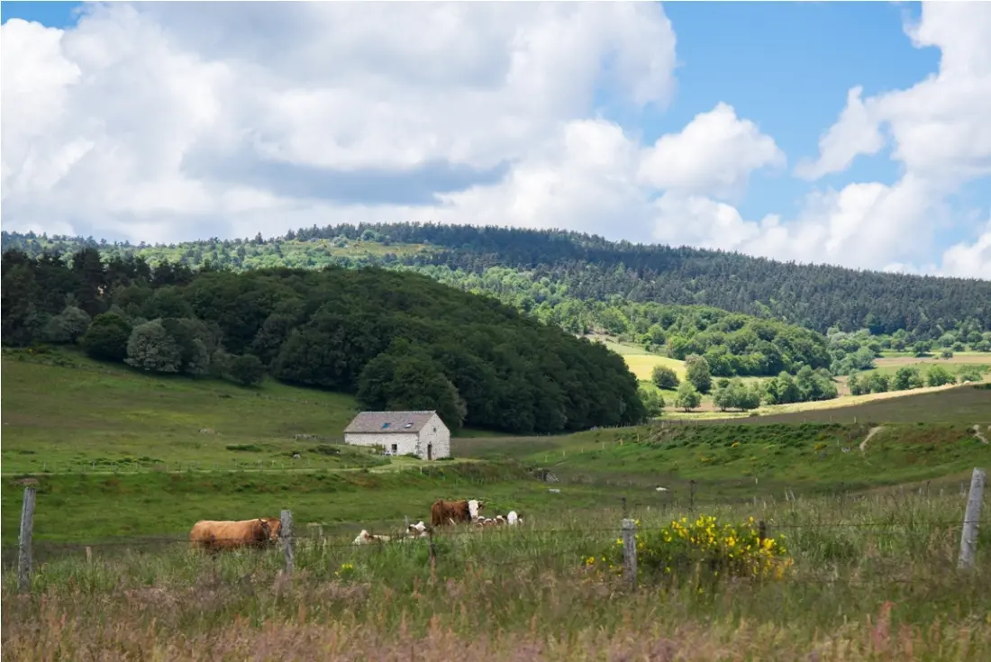 Gîte de France Der Buron de champanouse 4/6 Personen 3 Ohren