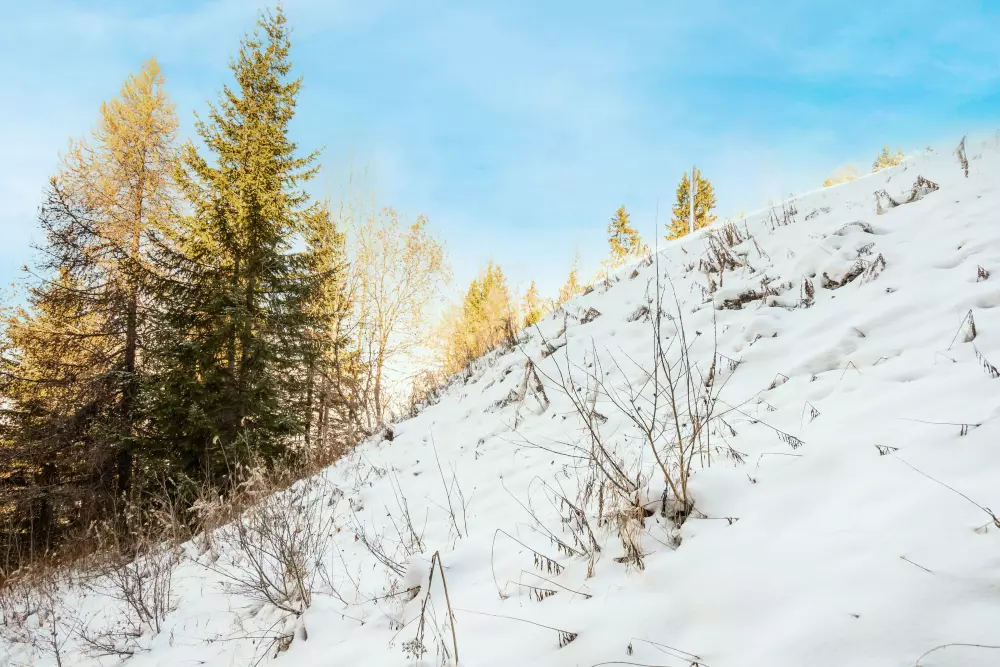Résidence Plagne Lauze - maeva Home