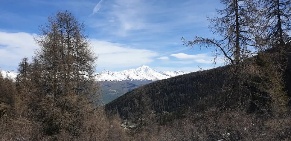 Résidence Plagne Lauze - maeva Strona główna