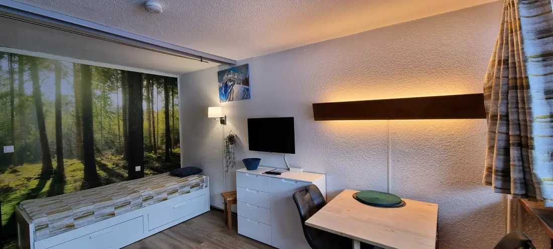 Residence Le France