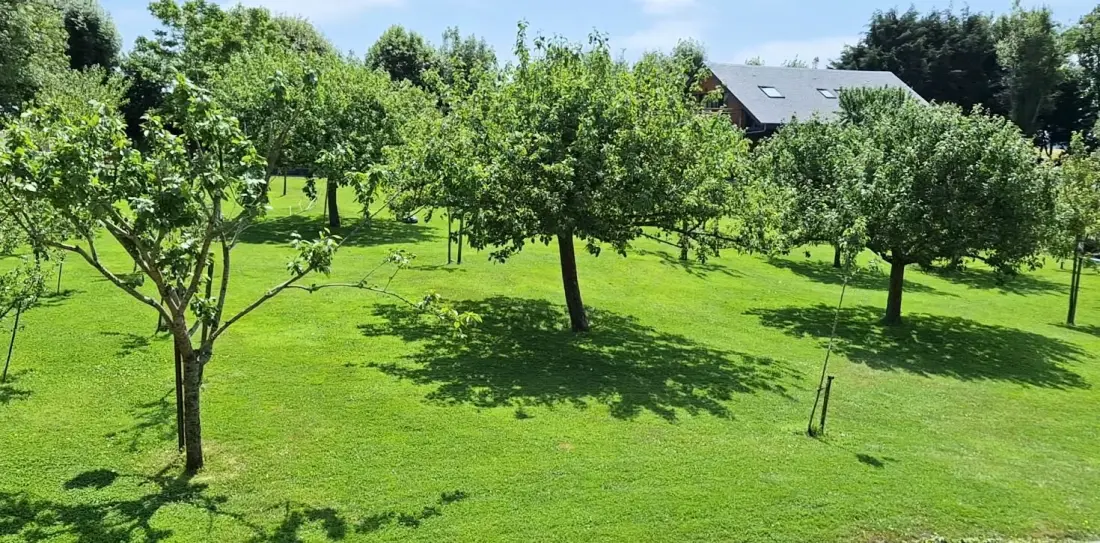 Gîte de France Gîtes de france® - la moussette 3 fül