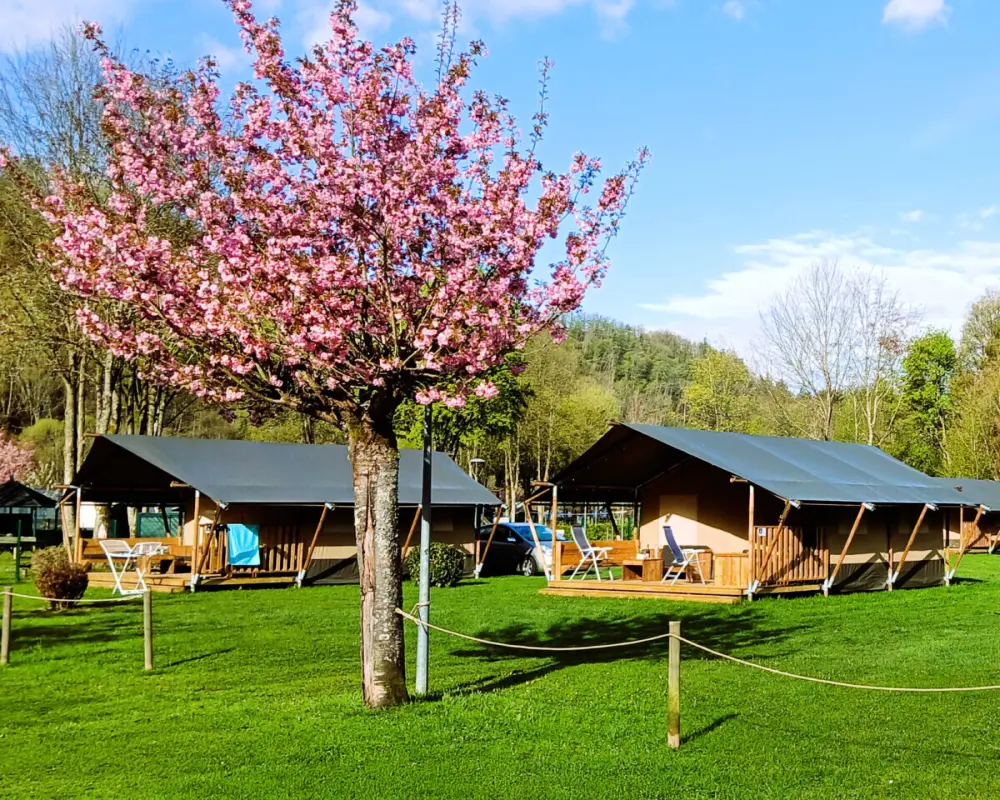 Campsite Floreal La Roche-en-Ardenne