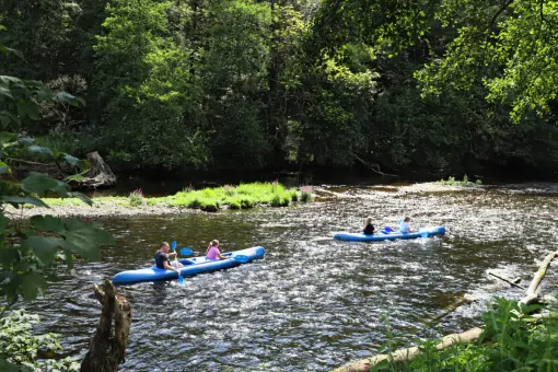 Camping la Roche