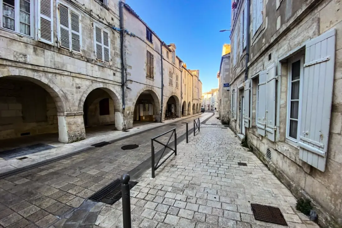 Urocze mieszkanie Lumineux Au Coeur de la Ville