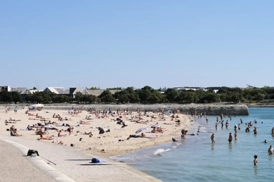 Charmerende hus i nærheden af Beaches og Central