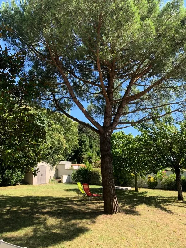 Casa De Characterère Da 6 camere a La Rochelle