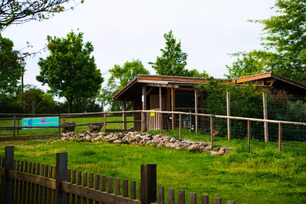 Le Camp de Florence (Vodatent)