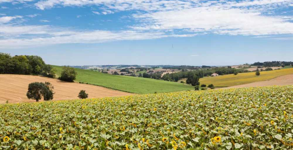 Le Camp de Florence (Vodatent)