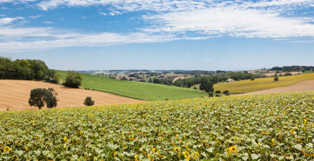 Le Camp de Florence (Vodatent)
