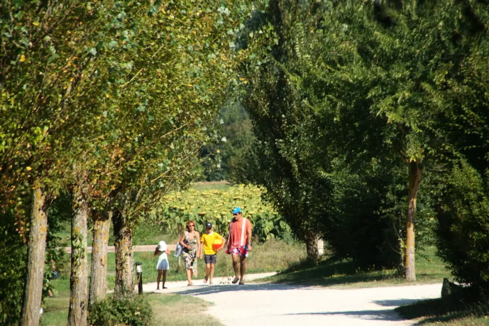 Le Camp de Florence (Vodatent)