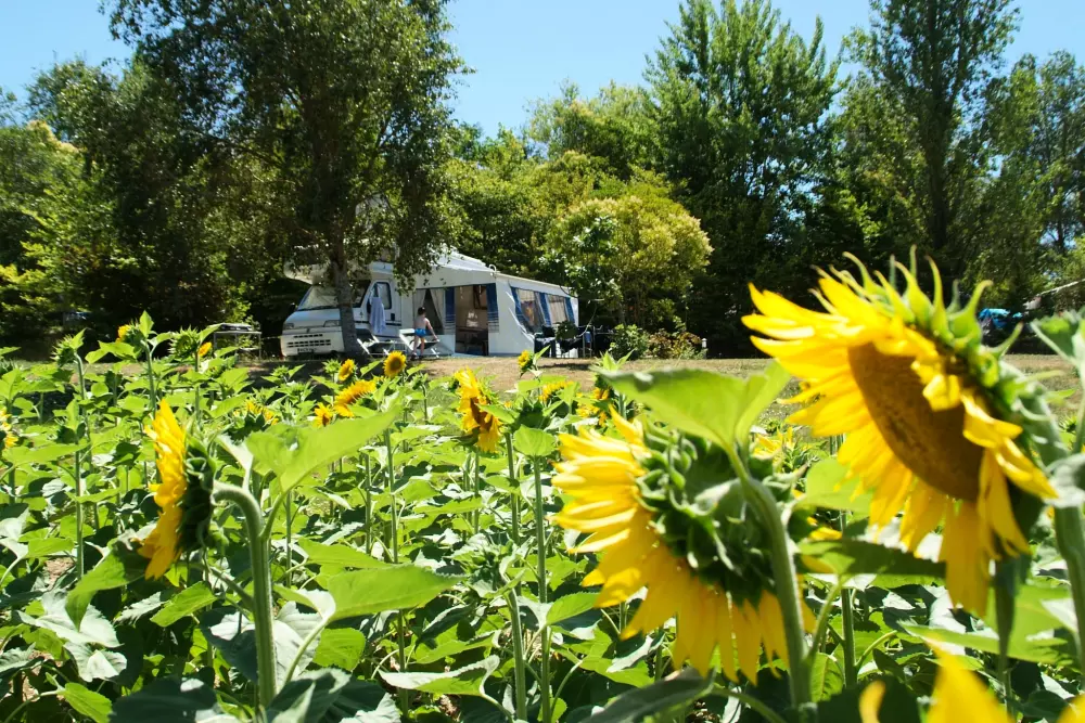 Le Camp de Florence (Vodatent)