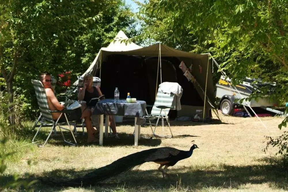 Le Camp de Florence (Vodatent)