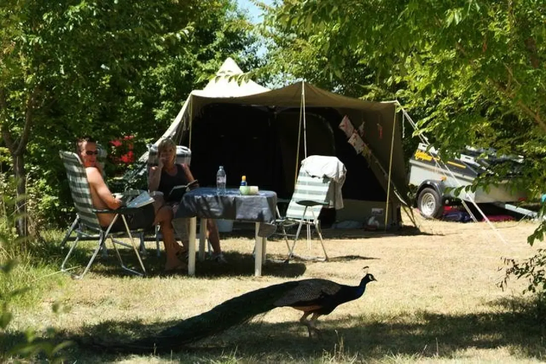 Le Camp de Florence (Vodatent)