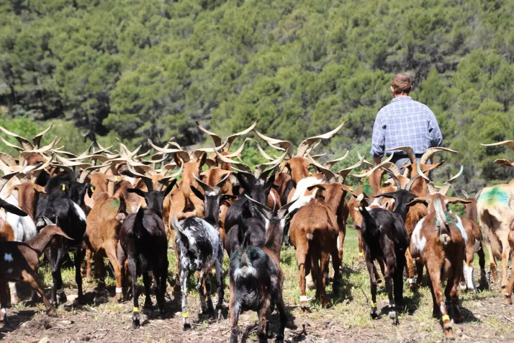 Camping Le Domaine des Iscles3 Sterren★★★