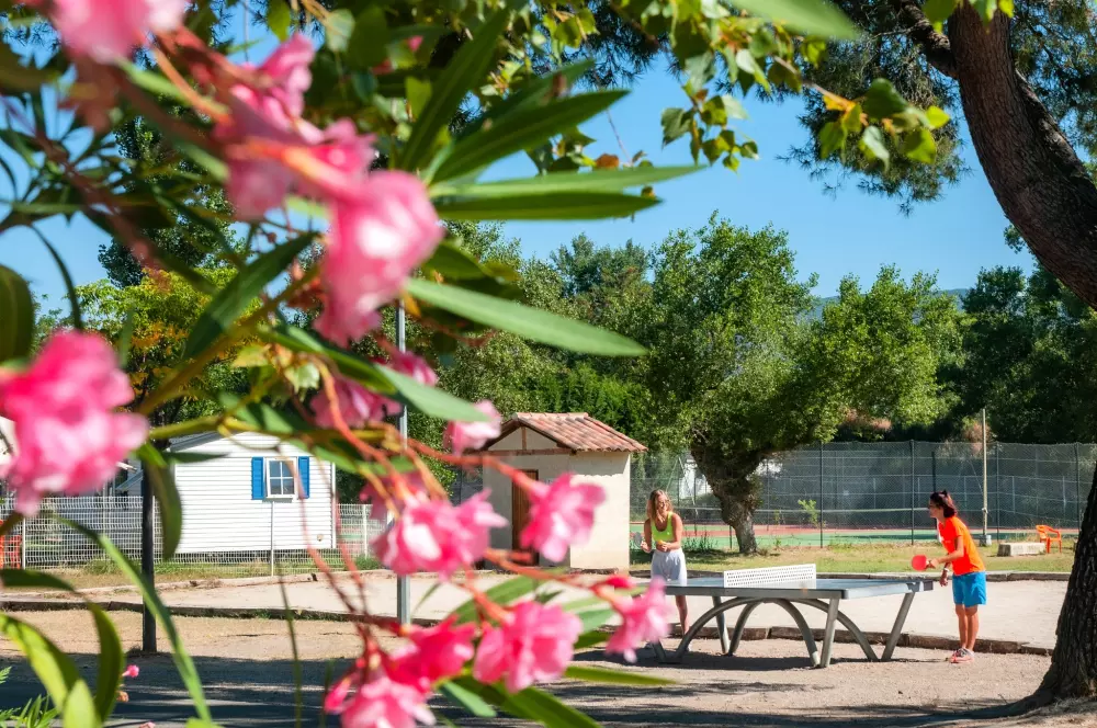 Camping Le Domaine des Iscles3 Sterren★★★