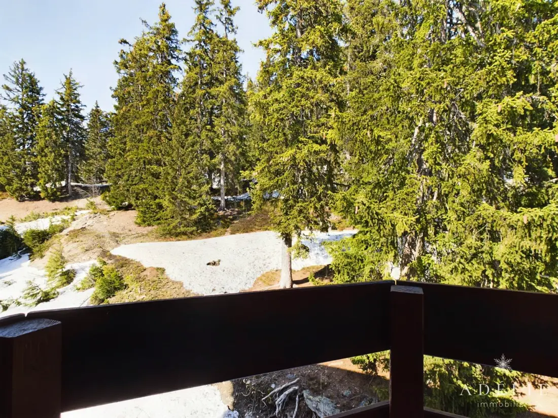 Residence Ibex A