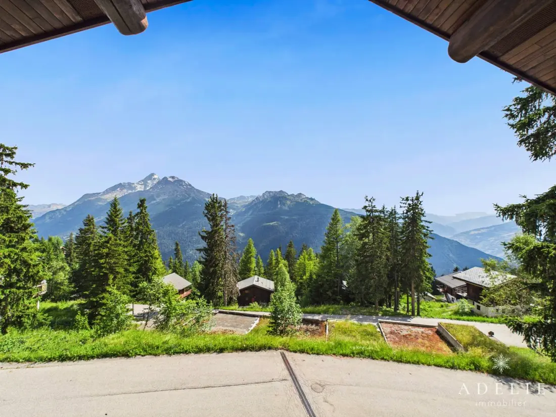 Chalet Le Cep