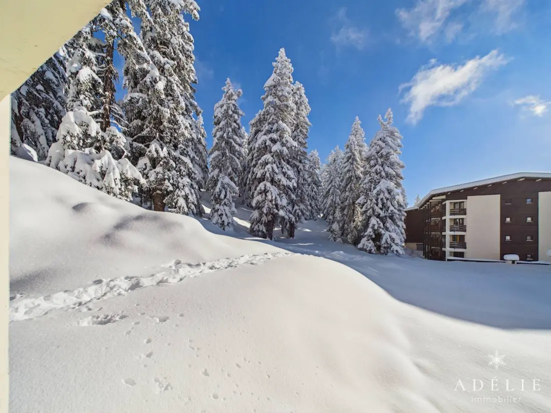Residence Ibex A