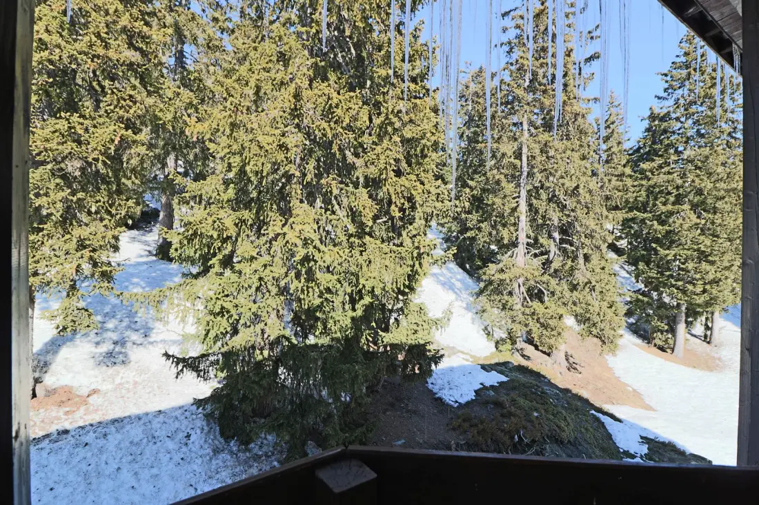 Residence Ibex A