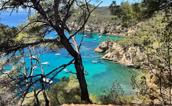 2 pièces mezzanine à La Seyne sur Mer 3