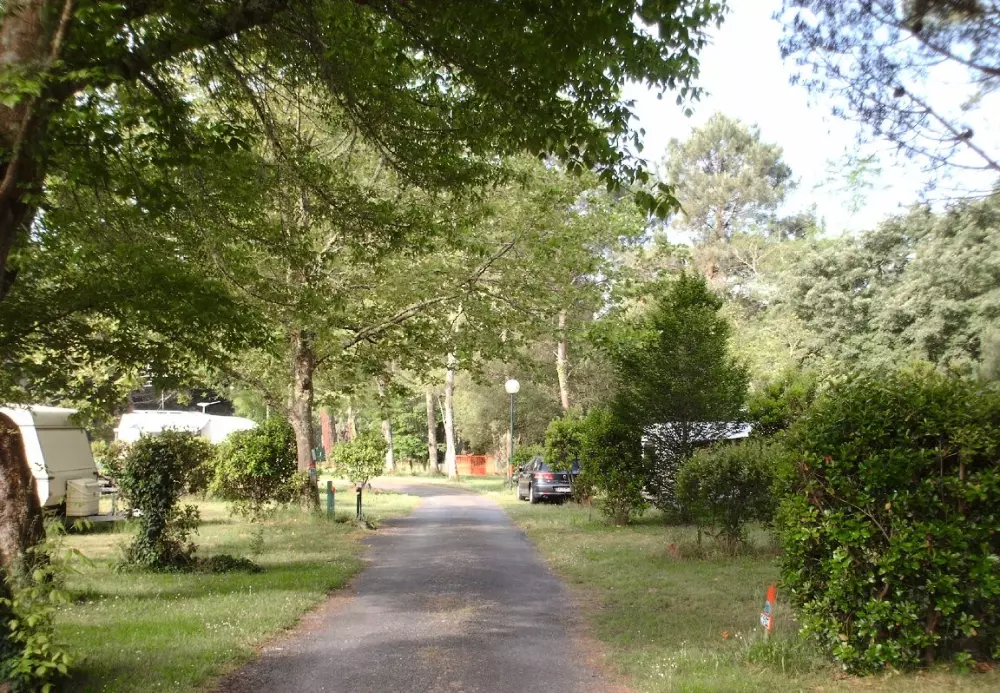 Camping Le Lago De Cazaux 2 Estrellas★★