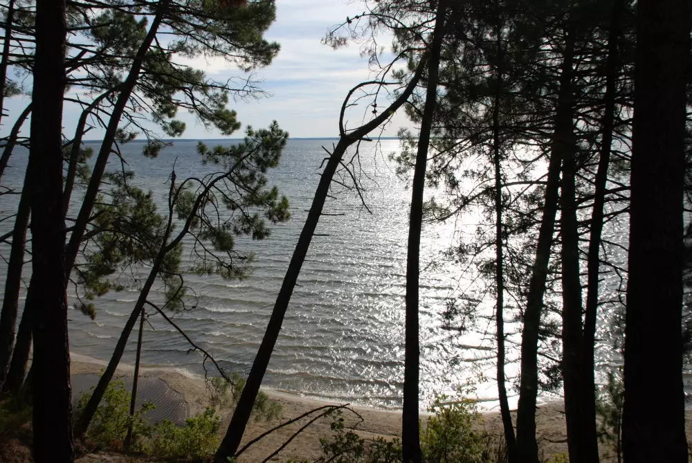 Camping Le Lago De Cazaux 2 Estrellas★★