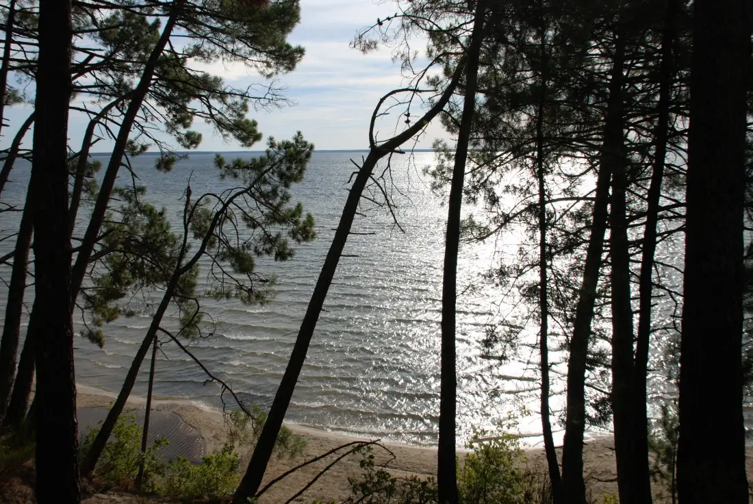 Camping Le Lac De Cazaux2 Sterren★★