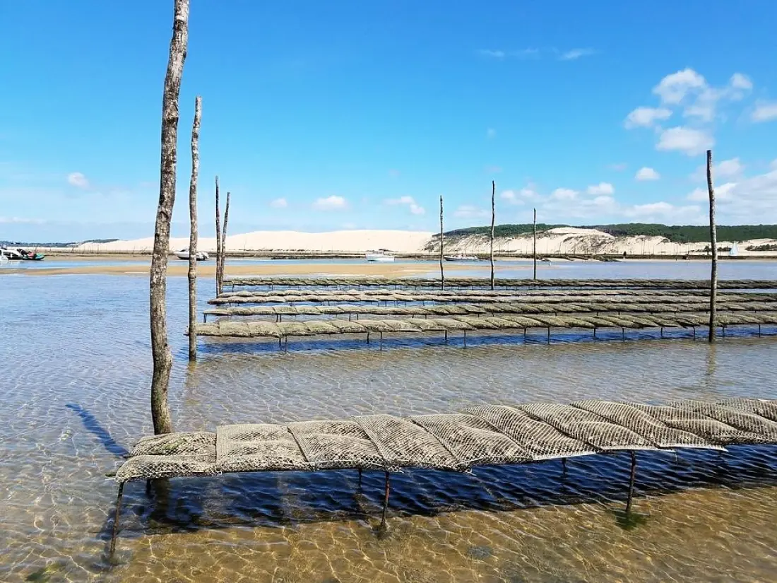 Domaine de la Forge - Sea Green Sunêlia 2 Csillagok★★