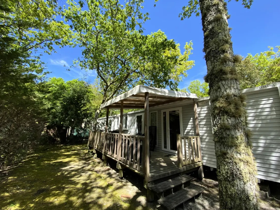Domaine de la Forge - Sea Green Sunêlia 2 Csillagok★★