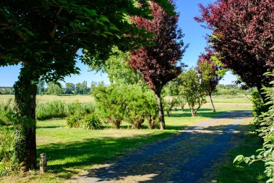 Grand Pré kemping2 Csillagok★★