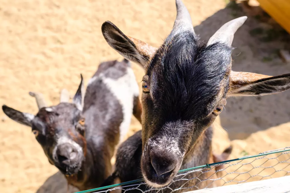 Camping le Grand Pré2 étoiles★★