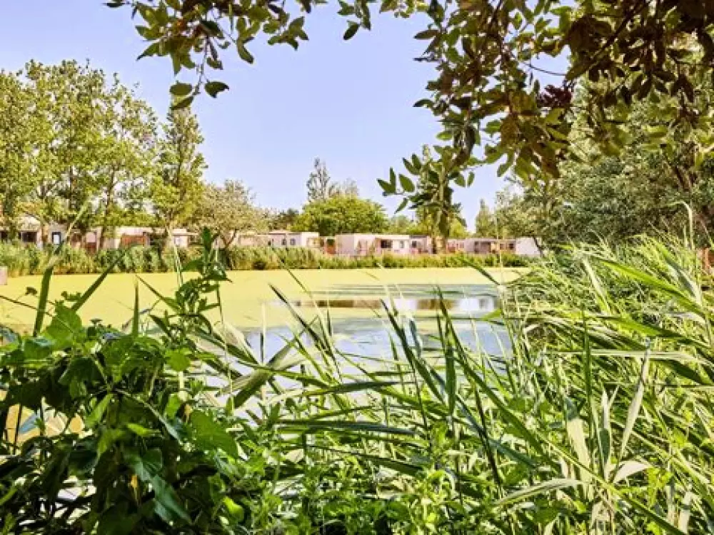 Camping Du Jard 4 Sterne★★★★
