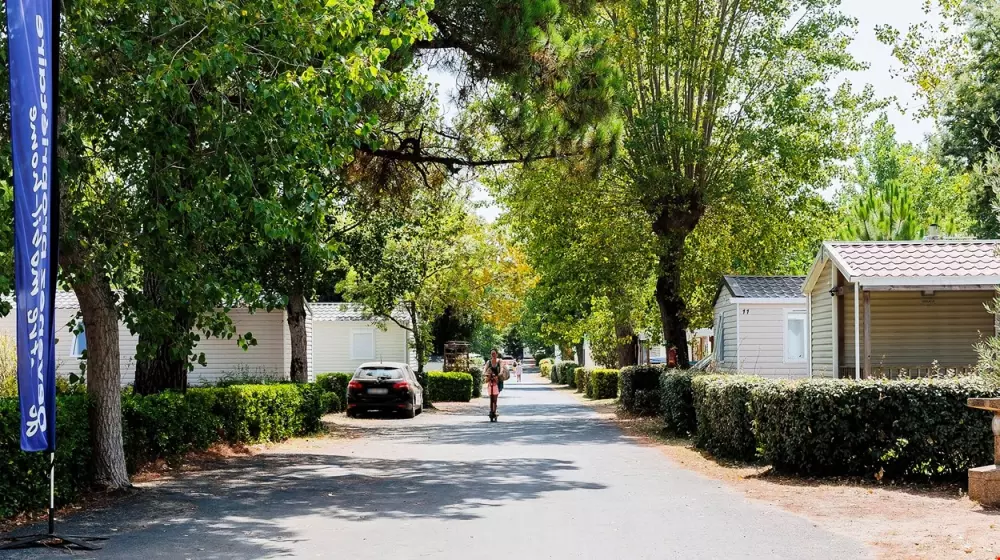 Flower Camping l'Escale du Perthuis 4 étoiles★★★★