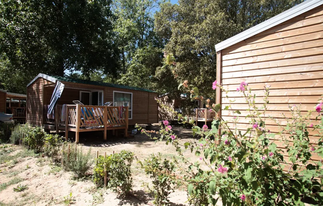 Flor Camping l'Escale du Perthuis 4 Estrellas★★★★
