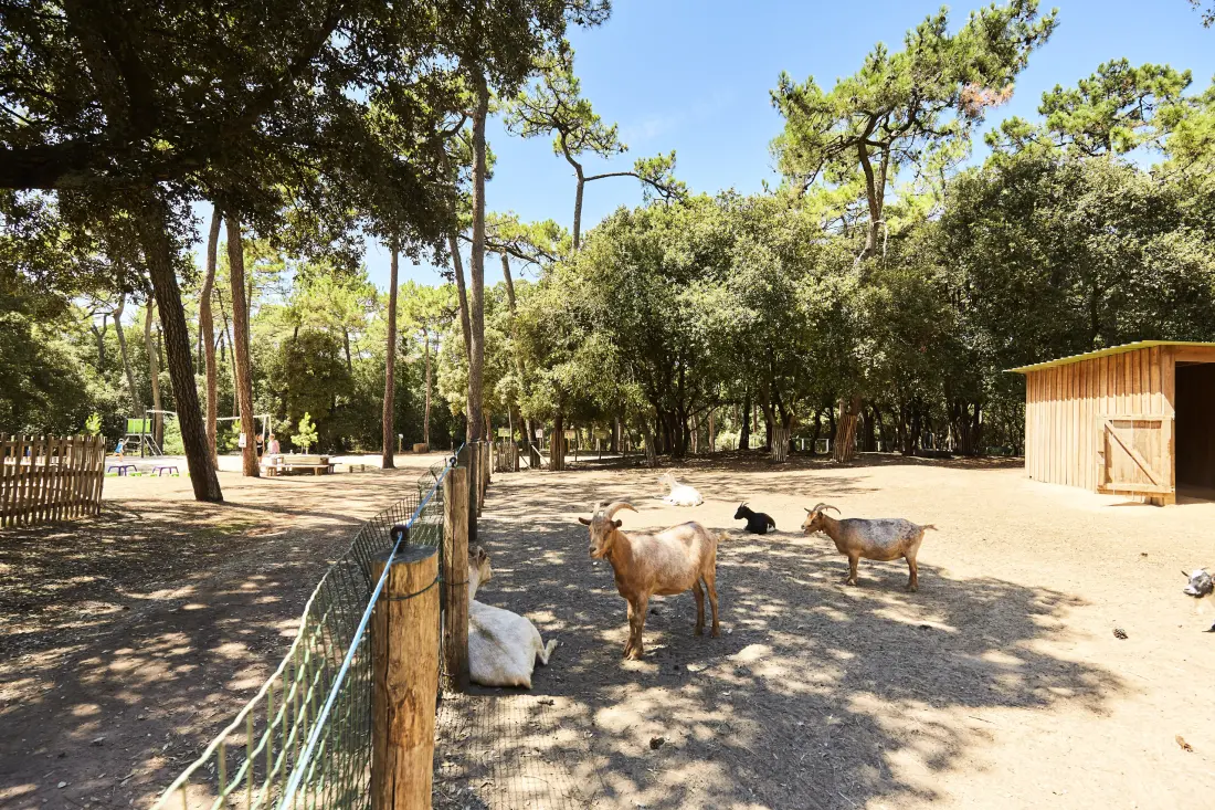 Ház La Tranche-sur-Mer