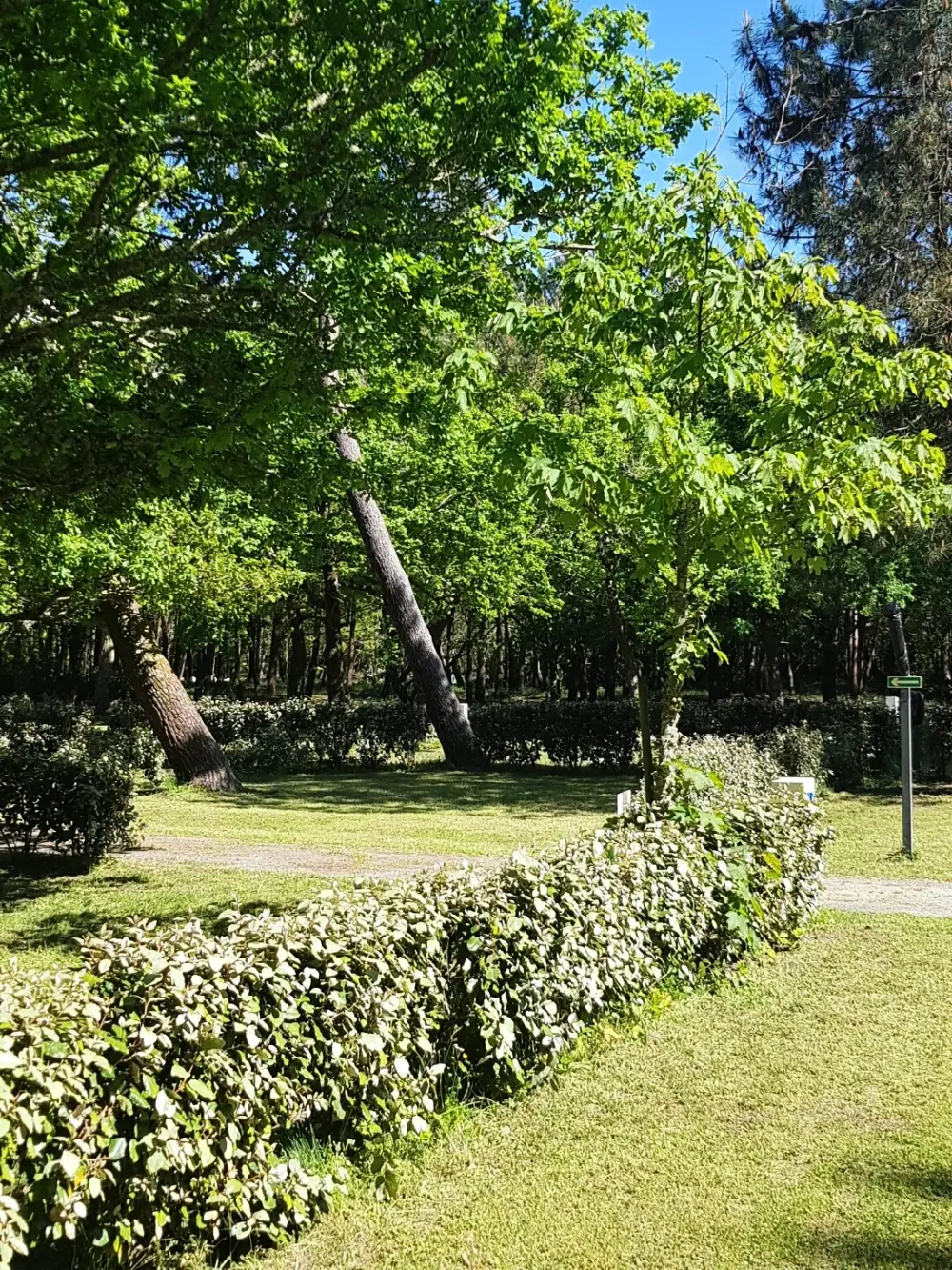 Campingplatz maeva Club La Clairière 4 Sterne★★★★