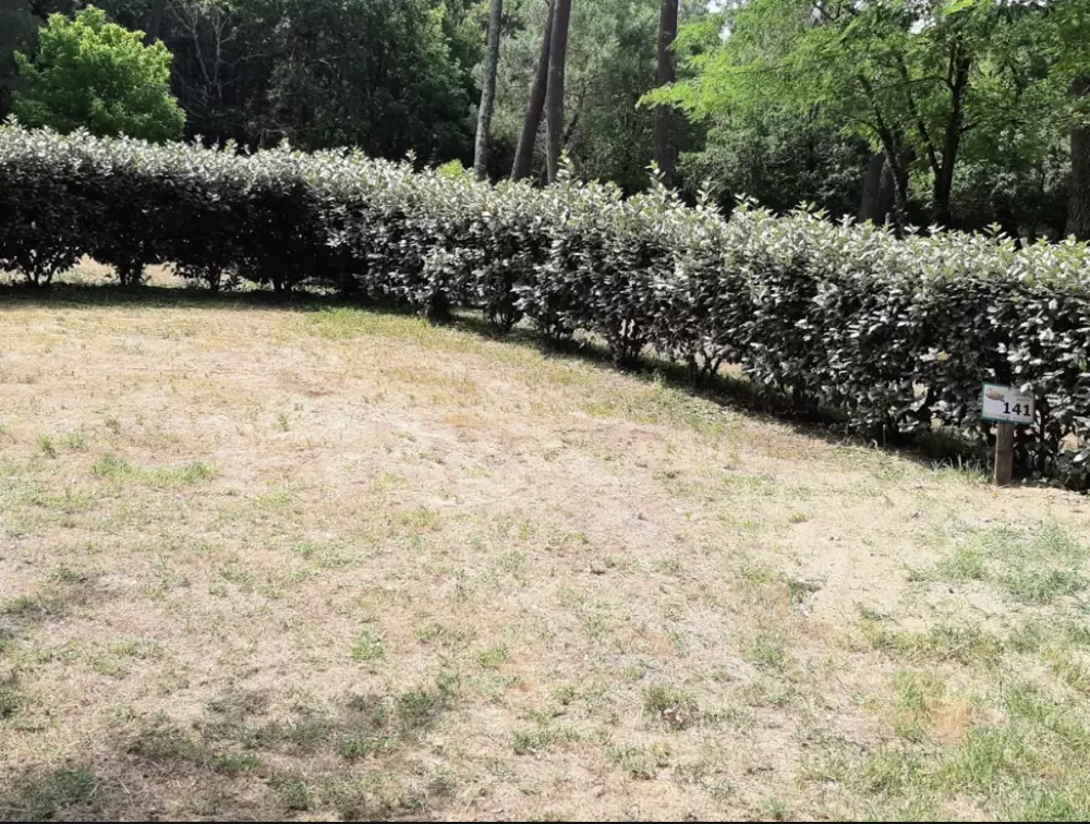 Campingplads maeva Club La Clairière Tætning