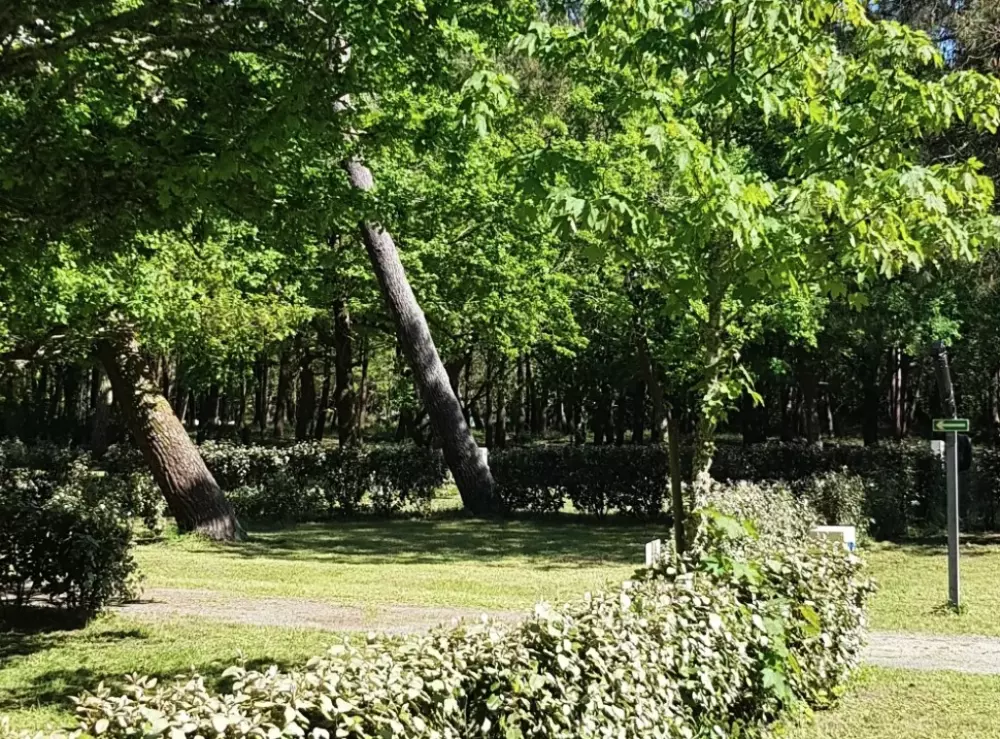 Campingplads maeva Club La Clairière Tætning