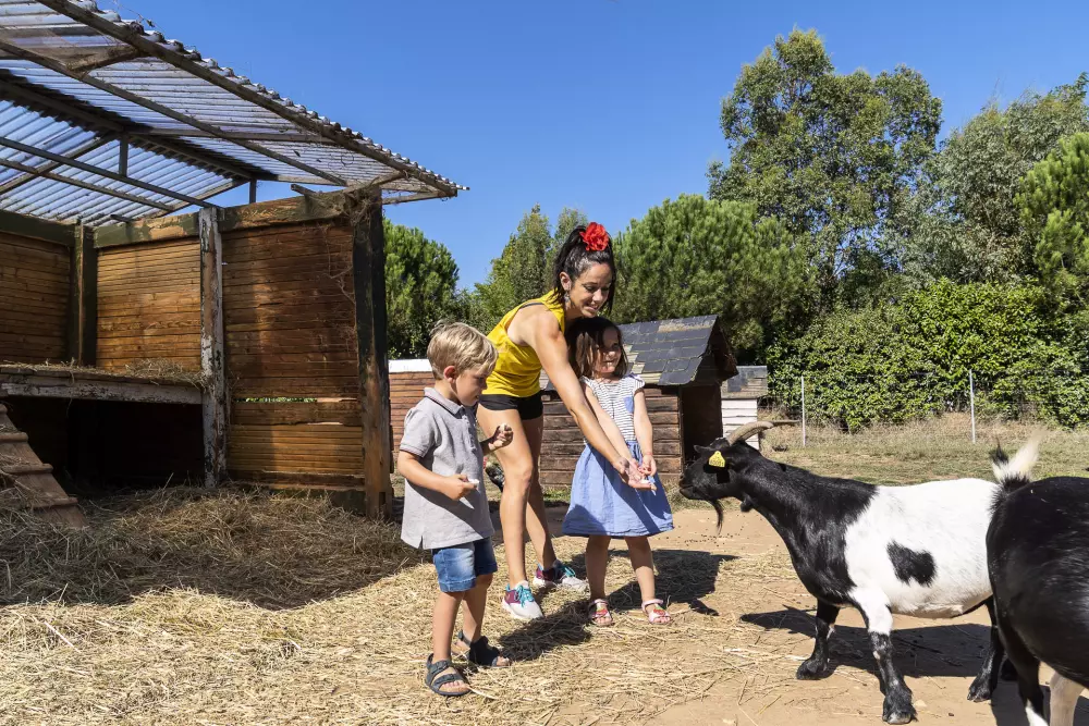 Camping Sandaya Sequoia Parc5 Stjerner★★★★★